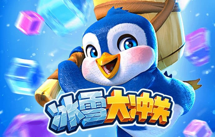 bibo必博体育官方平台入口